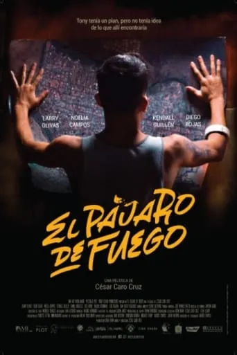 Bird of Fire movie poster - Entertainment content