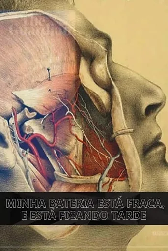 Minha Bateria Está Fraca e Está Ficando Tarde movie poster - Entertainment content