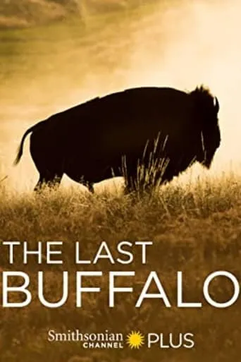 The Last Buffalo movie poster - Rated 8/10