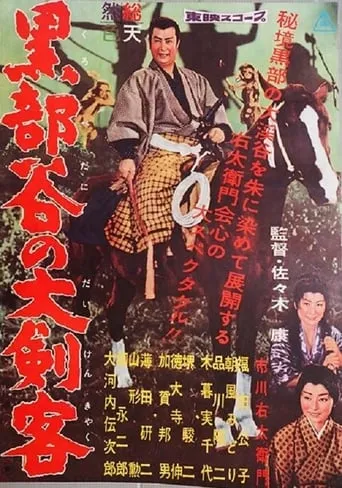The Swordsman In The Golden Valley movie poster - Entertainment content