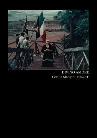 Divine Love movie poster - Rated 5.5/10
