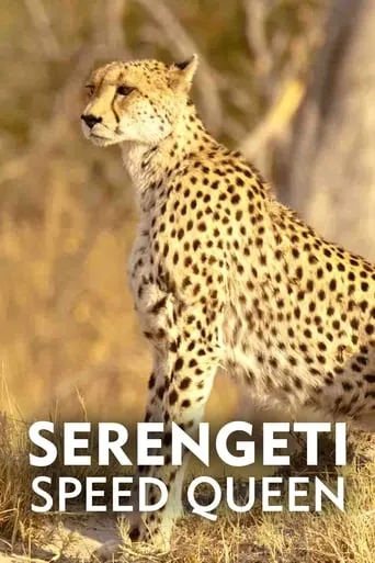 Serengeti Speed Queen movie poster - Entertainment content