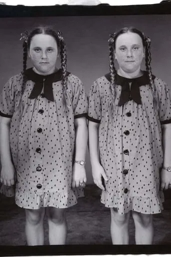 Twins movie poster - Entertainment content