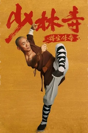 Rising Shaolin: The Protector movie poster - Rated 5.5/10