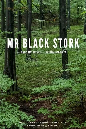 Mr Black Stork movie poster - Entertainment content