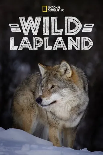 Wild Lapland movie poster - Rated 5/10