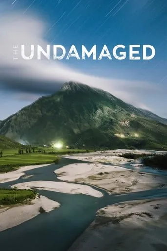 The Undamaged movie poster - Entertainment content