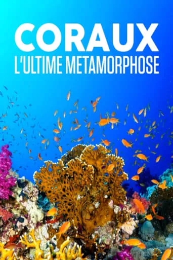Coraux, l'ultime métamorphose movie poster - Entertainment content