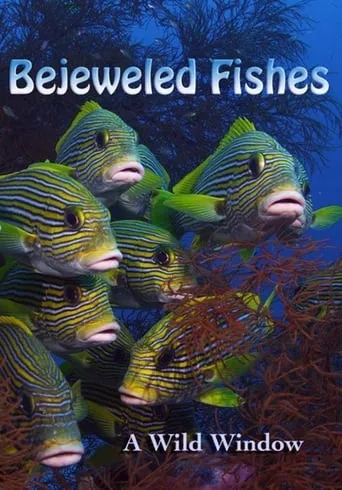 Wild Window: Bejeweled Fishes movie poster - Rated 7/10