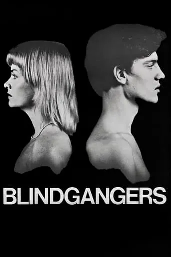 Blind Spot movie poster - Entertainment content