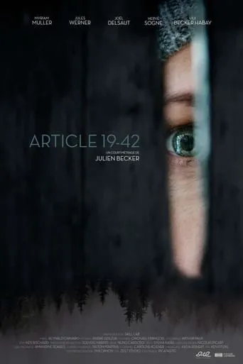 Article 19-42 movie poster - Rated 6.7/10