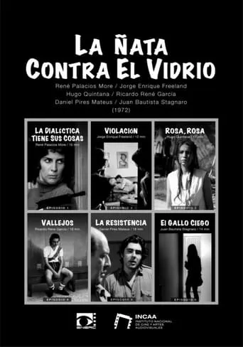 La ñata contra el vidrio movie poster - Rated 5/10