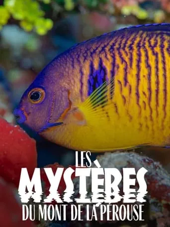 The mysteries of Mont La Pérouse movie poster - Entertainment content