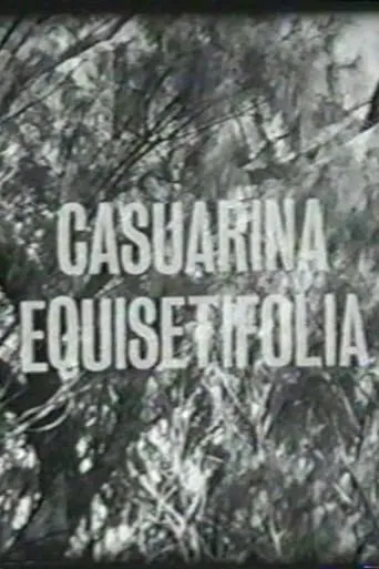 Casuarina Equisetifolia movie poster - Entertainment content