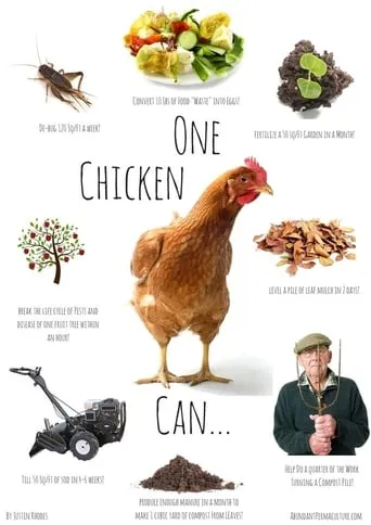 Permaculture Chickens movie poster - Entertainment content