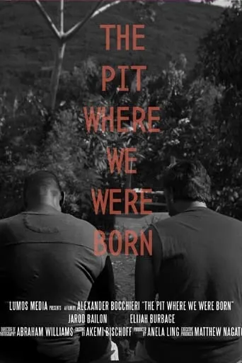 The Pit Where We Were Born movie poster - Entertainment content