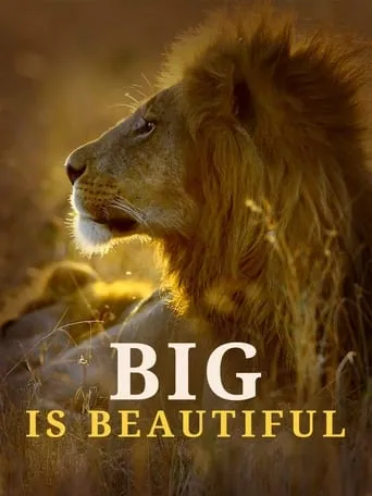 Big is Beautiful movie poster - Rated 6/10