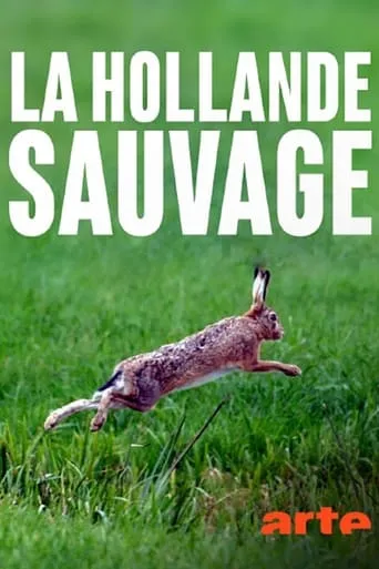 La Hollande sauvage -  La faune des polders movie poster - Rated 8.5/10