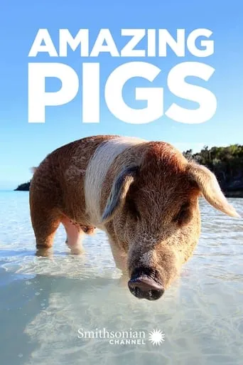 Amazing Pigs movie poster - Entertainment content