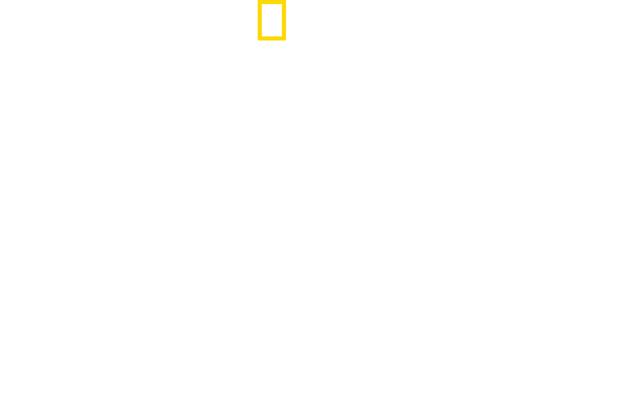Hitler's Battle Against the Press
