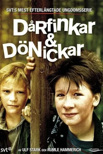 Darfinkar & Donickar: The Movie movie poster - Rated 6.1/10