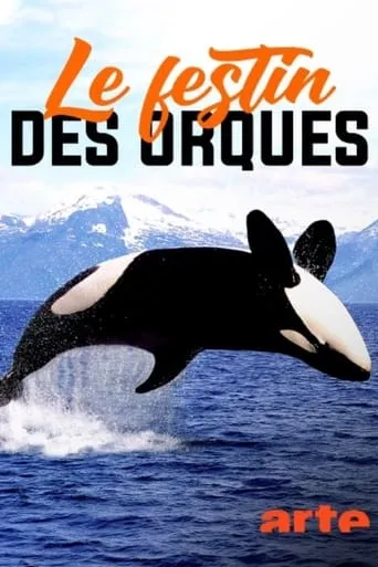 Norvège : le festin des orques movie poster - Entertainment content