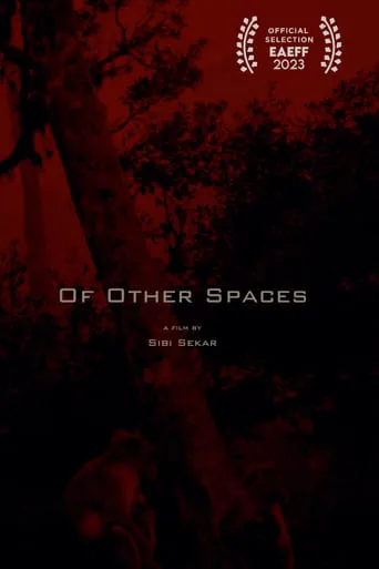 Of Other Spaces movie poster - Entertainment content