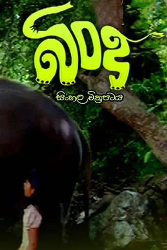 Bindu movie poster - Entertainment content