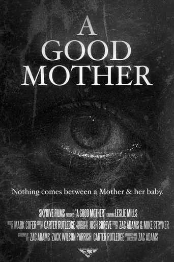 A Good Mother movie poster - Rated 7.5/10