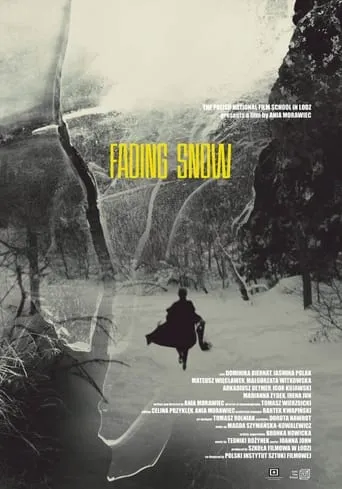 Fading Snow movie poster - Entertainment content