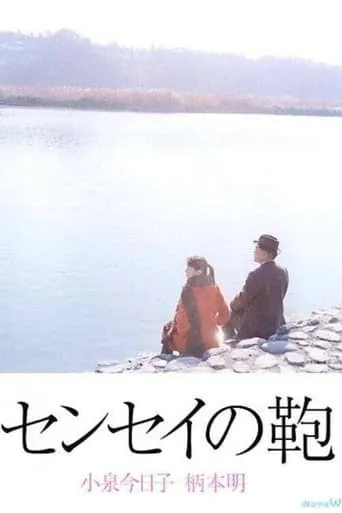 Teacher's suitcase movie poster - Rated 7/10