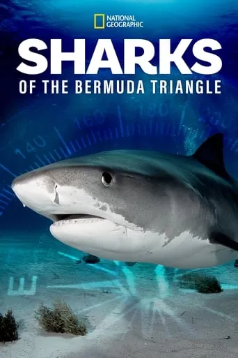 Sharks of the Bermuda Triangle movie poster - Rated 7.5/10