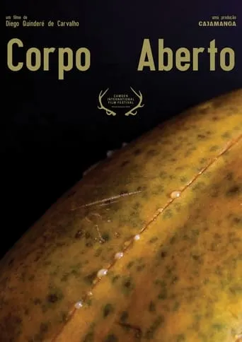 Corpo Aberto movie poster - Entertainment content