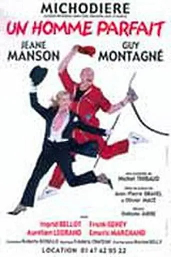 Un homme parfait movie poster - Entertainment content