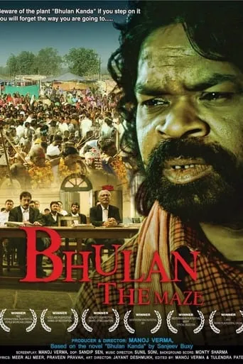 Bhulan The Maze movie poster - Entertainment content