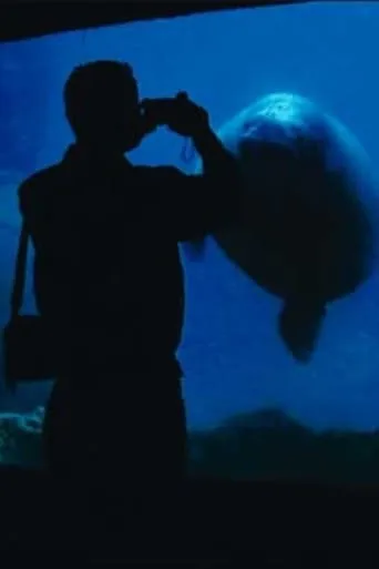 The Aquarium movie poster - Entertainment content