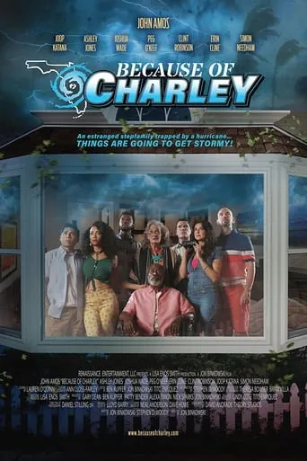 Because of Charley movie poster - Rated 2.3/10