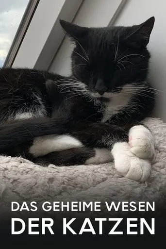 Das geheime Wesen der Katzen movie poster - Rated 6.7/10