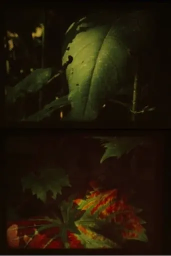 Autumn Fog movie poster - Entertainment content