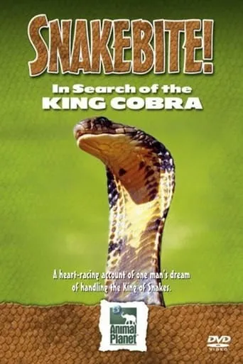 Snake Bite: In Search of the King Cobra movie poster - Entertainment content
