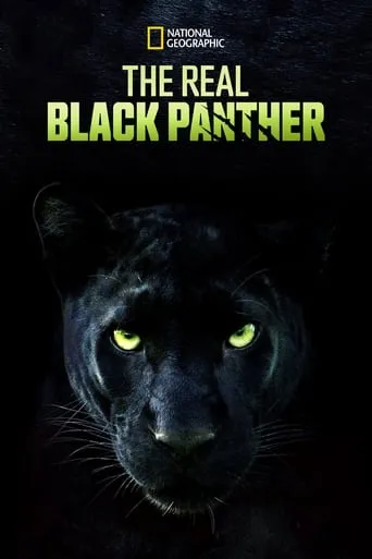 The Real Black Panther movie poster - Rated 6.7/10