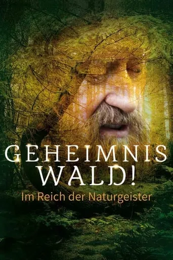 Geheimnis Wald! – Im Reich der Naturgeister movie poster - Entertainment content
