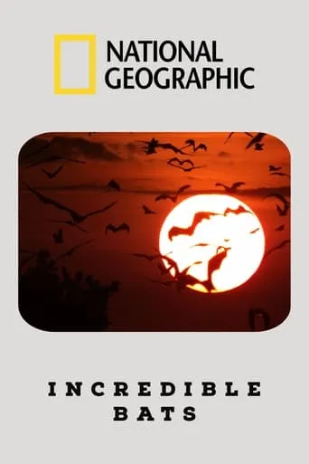 Incredible Bats movie poster - Entertainment content
