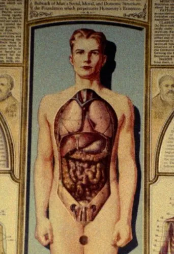 Natural History movie poster - Entertainment content