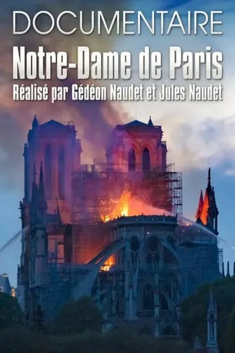 Notre-Dame de Paris des Frères Naudet movie poster - Rated 7/10