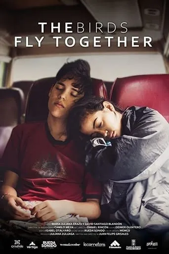 The Birds Fly Together movie poster - Entertainment content