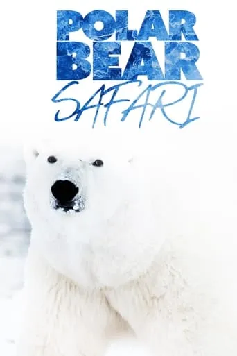 Polar Bear Safari movie poster - Entertainment content
