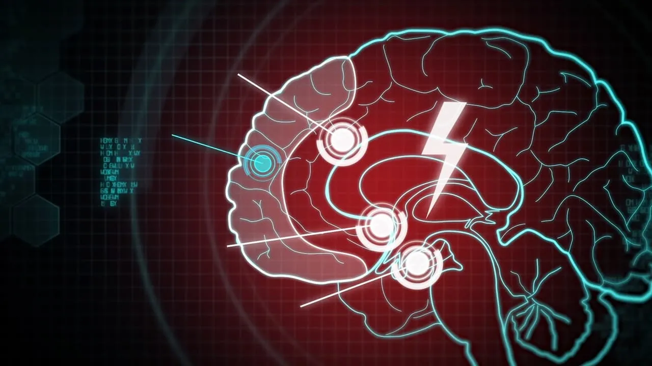 Poker Brain: Inside the Minds of the World's Best Liars