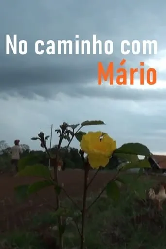No Caminho com Mário movie poster - Entertainment content