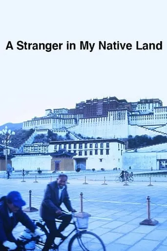 A Stranger in My Native Land movie poster - Entertainment content